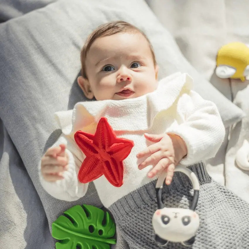 Bijtspeelgoed Baby Natura