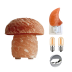 Himalayasalz-Pilz-Nachtlicht-Kombi-Angebot