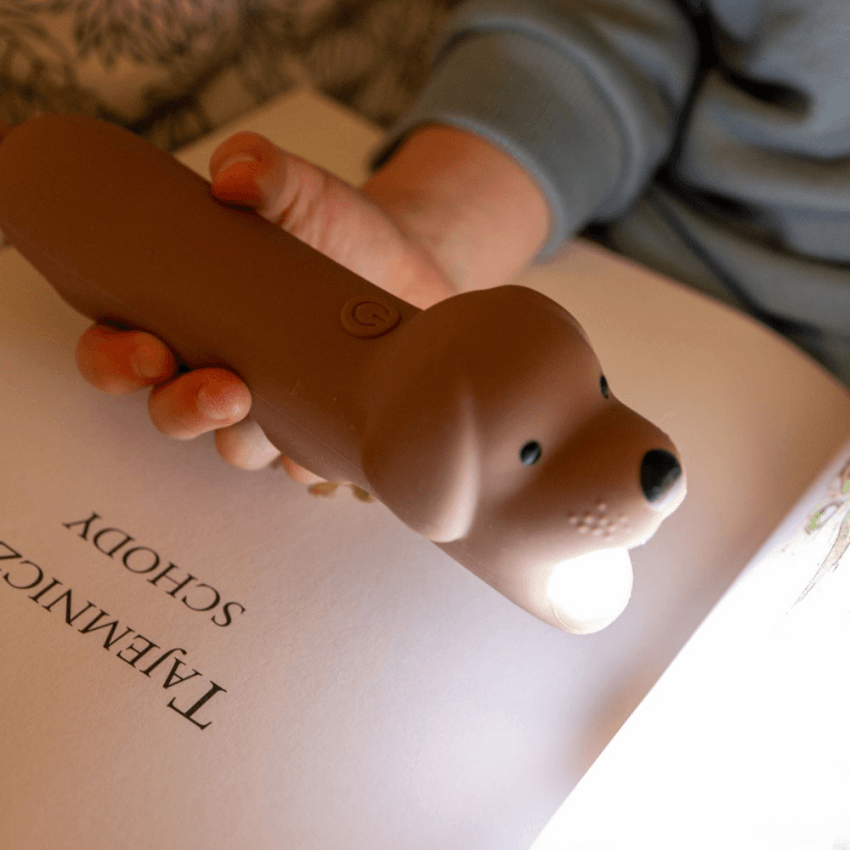 Kinderzaklamp Buddy Oplaadbaar via USB-C